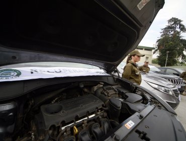 Carabineros desbarata banda dedicada a cometer “portonazos”