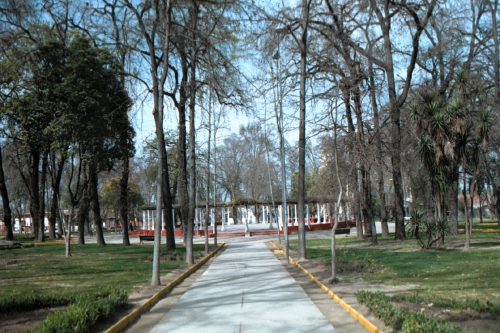 Reemplazarán Árboles en Avenida República en Limache