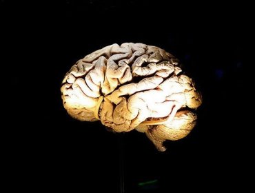 Identifican qué origina el mal de Alzheimer