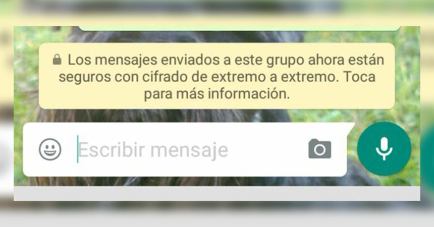 ¿Te apareció el mensaje “están cifrados de extremo a extemo” en WhatsApp? Esto significa