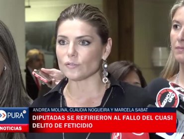 Diputadas se refirieron al fallo del cuasi delito de femicidio