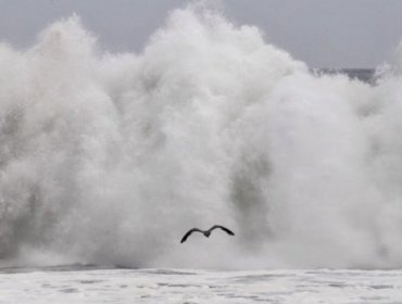 Hasta este martes se mantendrán las marejadas en la región de Antofagasta