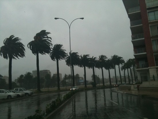 Imagen foto_00000002