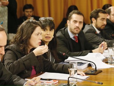 Colegio de Periodistas llama a diputados a rechazar "Ley Mordaza"