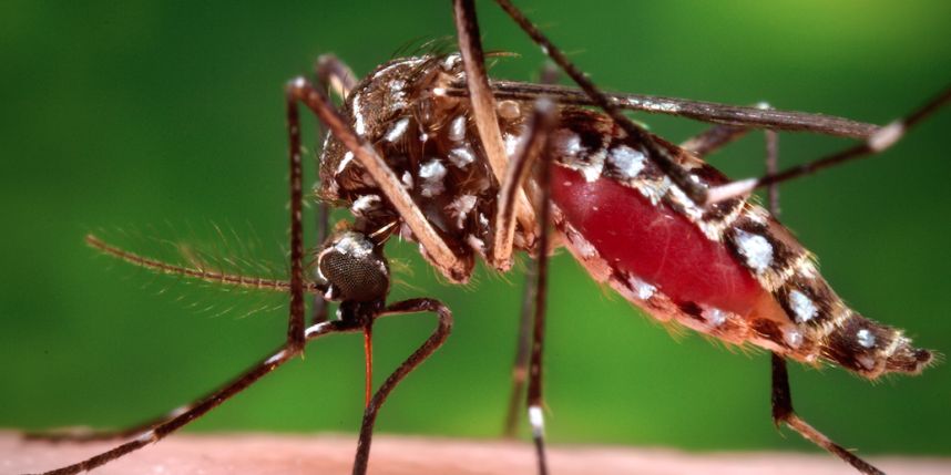 Medidas para combatir el Zika