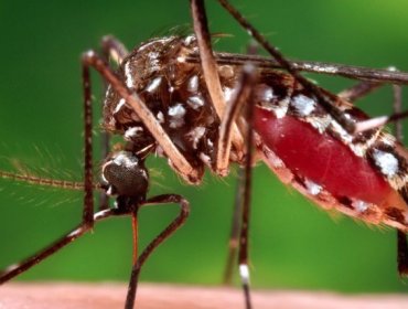 Medidas para combatir el Zika