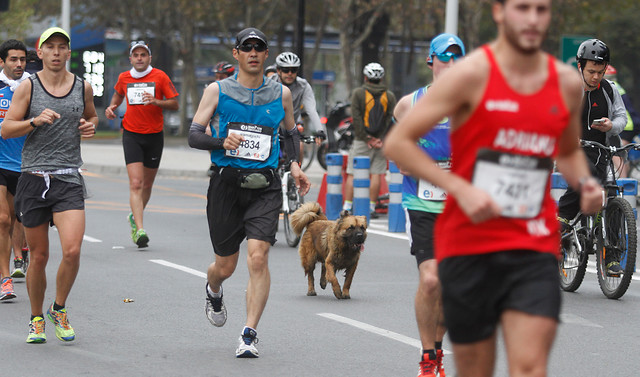 El 69% de los 'runners' no se ha hecho nunca un electrocardiograma