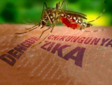 Llaman a reforzar medidas preventivas de proliferación del mosquito que transmite el virus del Zika