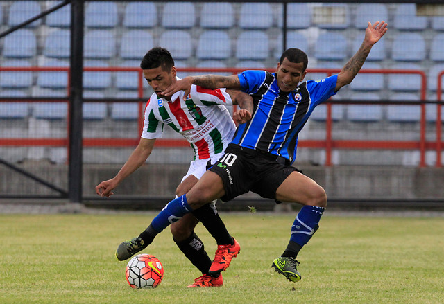 En Vivo: Palestino vs Huachipato