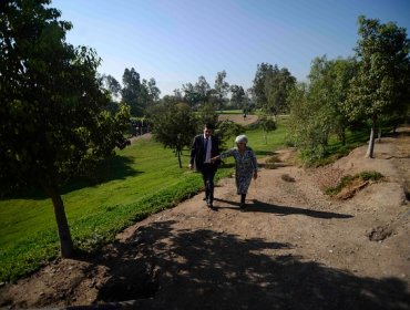 La Tierra es cada vez mas verde desde hace 33 anos, según un estudio