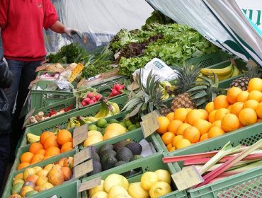 Descubre los alimentos alcalinos para estar bien