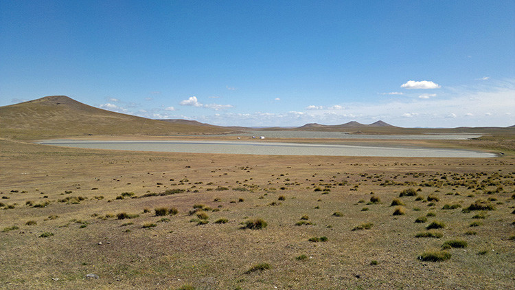 Chile ofrece tierra gratis… con la única condición