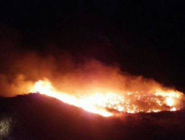 Ataque incendiario a maquinarias se registra en la Región de La Araucanía