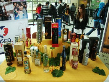 Día del Pisco: Celebración será con énfasis en su origen chileno