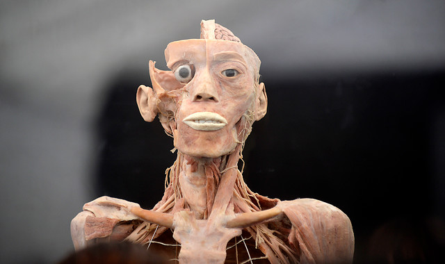 Las sorprendentes imágenes de la exposición de cuerpos humanos “Bodies”