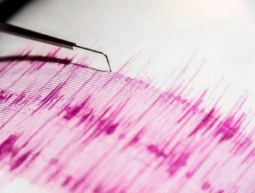 Sismo de 4,5 grados de magnitud se dejó sentir en Mendoza