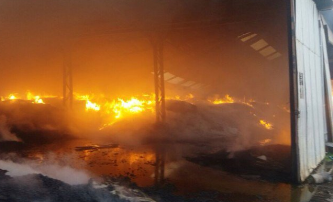 Incendio destruye bodegas de “Agrichile” en la comuna de San Rafael