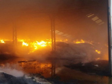 Incendio destruye bodegas de “Agrichile” en la comuna de San Rafael