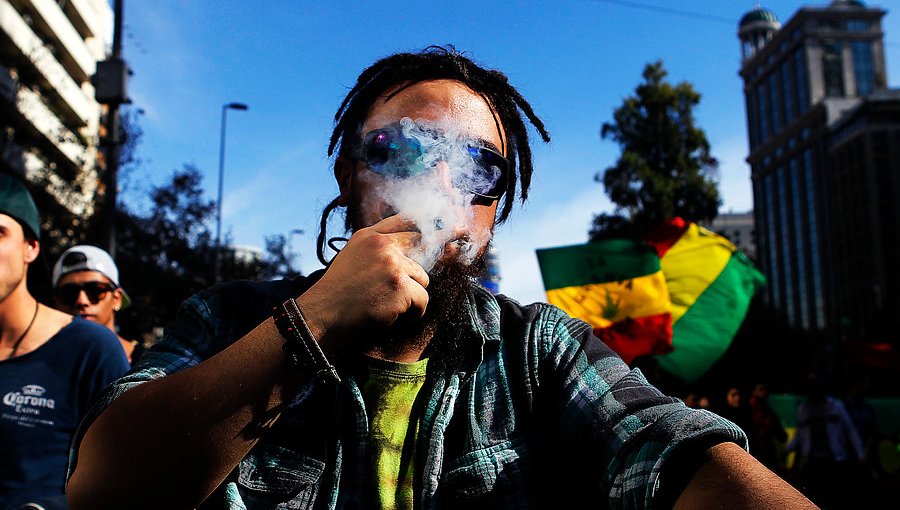 Galería: Diversos colores se tomaron la marcha “Cultiva tus derechos” en Santiago