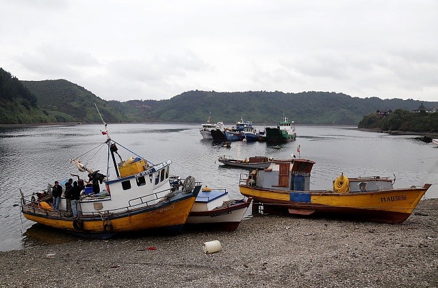 Marea roja: Seremi confirma que bajan los niveles de toxicidad en el mar de Chiloé