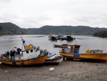 Marea roja: Seremi confirma que bajan los niveles de toxicidad en el mar de Chiloé