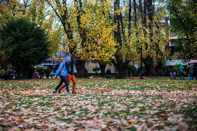 Conoce algunas terapias alternativas para combatir las enfermedades de invierno