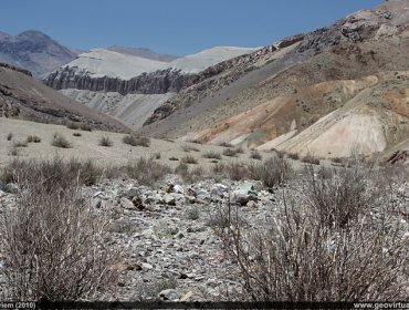 Denuncian a secta que tendría a niños en la la precordillera de Copiapó