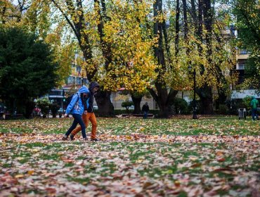 Conoce algunas terapias alternativas para combatir las enfermedades de invierno