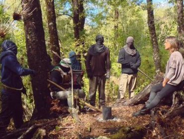 Conflicto mapuche: Parlamentarios piden declarar a la CAM como organización terrorista