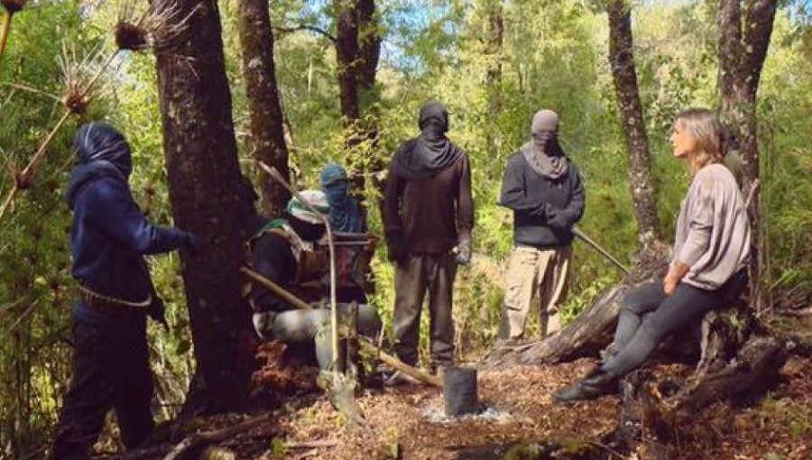 Conflicto mapuche: Parlamentarios piden declarar a la CAM como organización terrorista