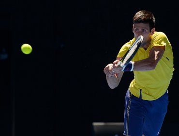 Djokovic se deshace con solvencia de Berdych y se metió en semifinales