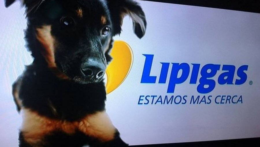 Nuevo perro de Lipigas desata críticas al usar la misma voz de "Spike"