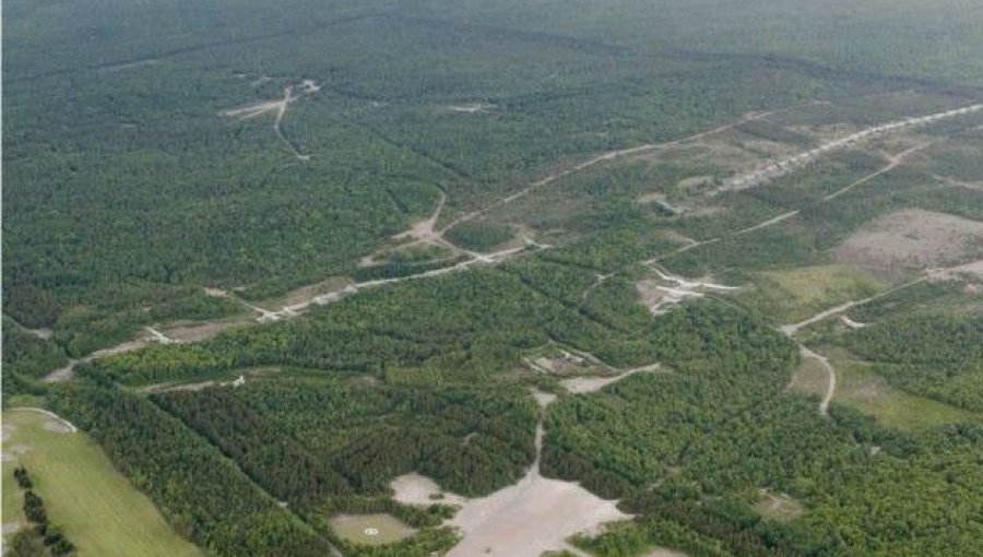 Cómo sobrevivió Yamato Tanooka, el niño abandonado por sus padres en un bosque en Japón