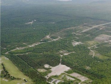 Cómo sobrevivió Yamato Tanooka, el niño abandonado por sus padres en un bosque en Japón