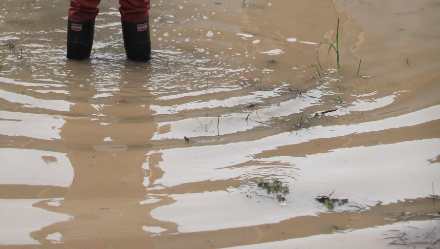 Sistema Frontal: 455 aislados entre la IV y V Región dejan las lluvias