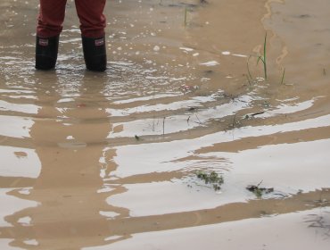 Sistema Frontal: 455 aislados entre la IV y V Región dejan las lluvias