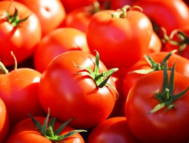 Precio del Tomate al alza: Conoce las razones de su alto valor