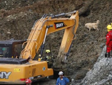 Al menos seis muertos y varios desaparecidos tras un alud de tierra en Colombia