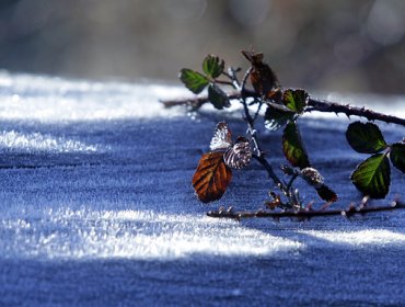 Las altas temperaturas del Ártico retrasan expedición del trineo del viento