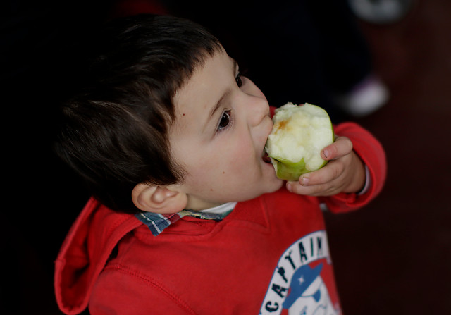 La edad, la obesidad y la dopamina parecen influir en la preferencia por dulces