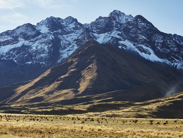 Así será el tren nocturno más lujoso de Sudamérica