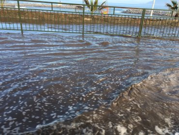 Alerta Roja para Antofagasta: Lluvias se intensifican en el norte