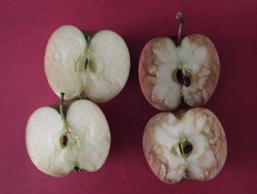 Con estas dos manzanas una maestra le enseñó la horrible verdad del bullying a sus alumnos