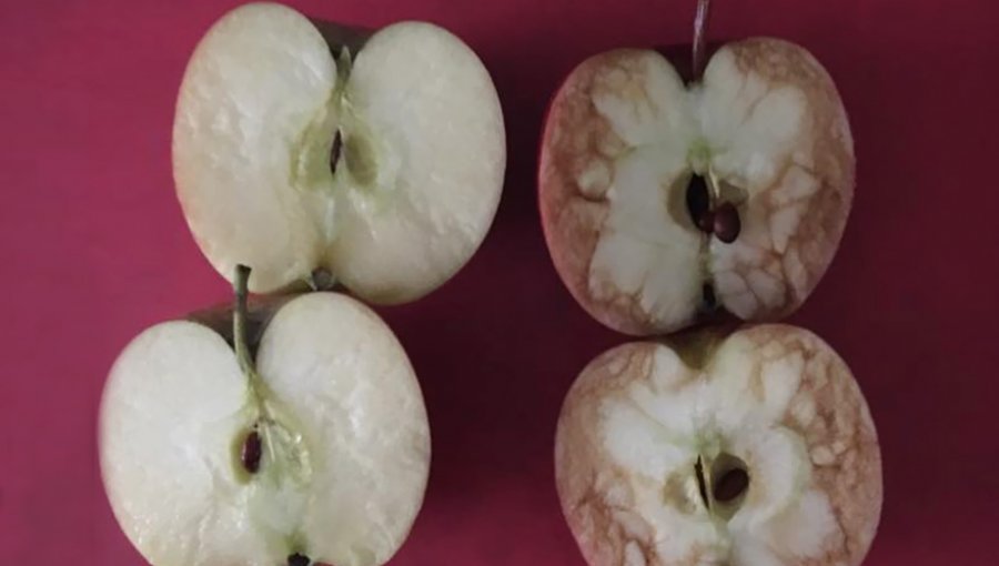 Con estas dos manzanas una maestra le enseñó la horrible verdad del bullying a sus alumnos