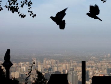 Santiago en Alerta Ambiental este jueves