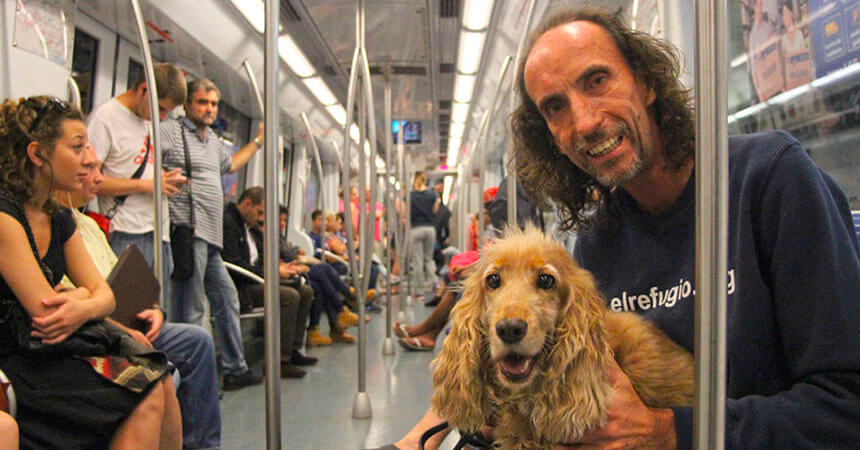 Desde ahora, los perros en Madrid pueden viajar en el Metro como cualquier pasajero