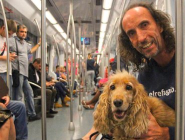 Desde ahora, los perros en Madrid pueden viajar en el Metro como cualquier pasajero