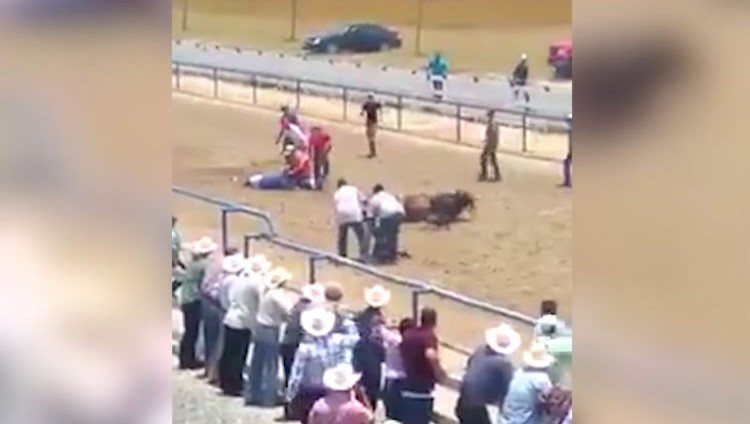 Video impactante: Terrible caída durante una carrera de caballos en México