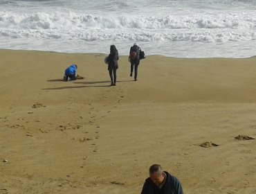 Marejadas: Curiosos exponen a niños al oleaje en plena playa (VÍDEO)