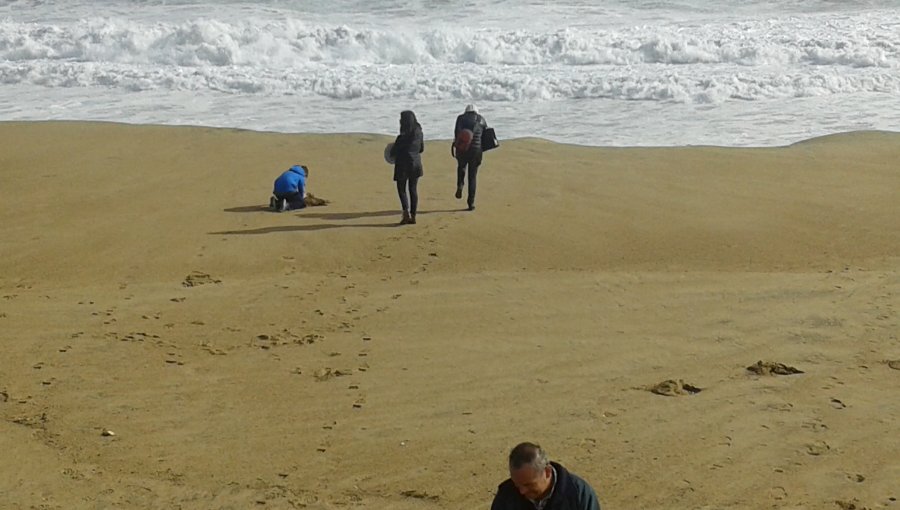 Marejadas: Curiosos exponen a niños al oleaje en plena playa (VÍDEO)